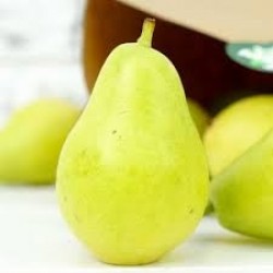 armut santamarya 1 kg