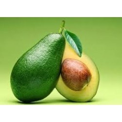 Avokado