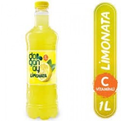 DOĞANAY LIMONATA 1 LİTRE 