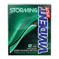 vivi dent stormink sakız nane aromalı 33g